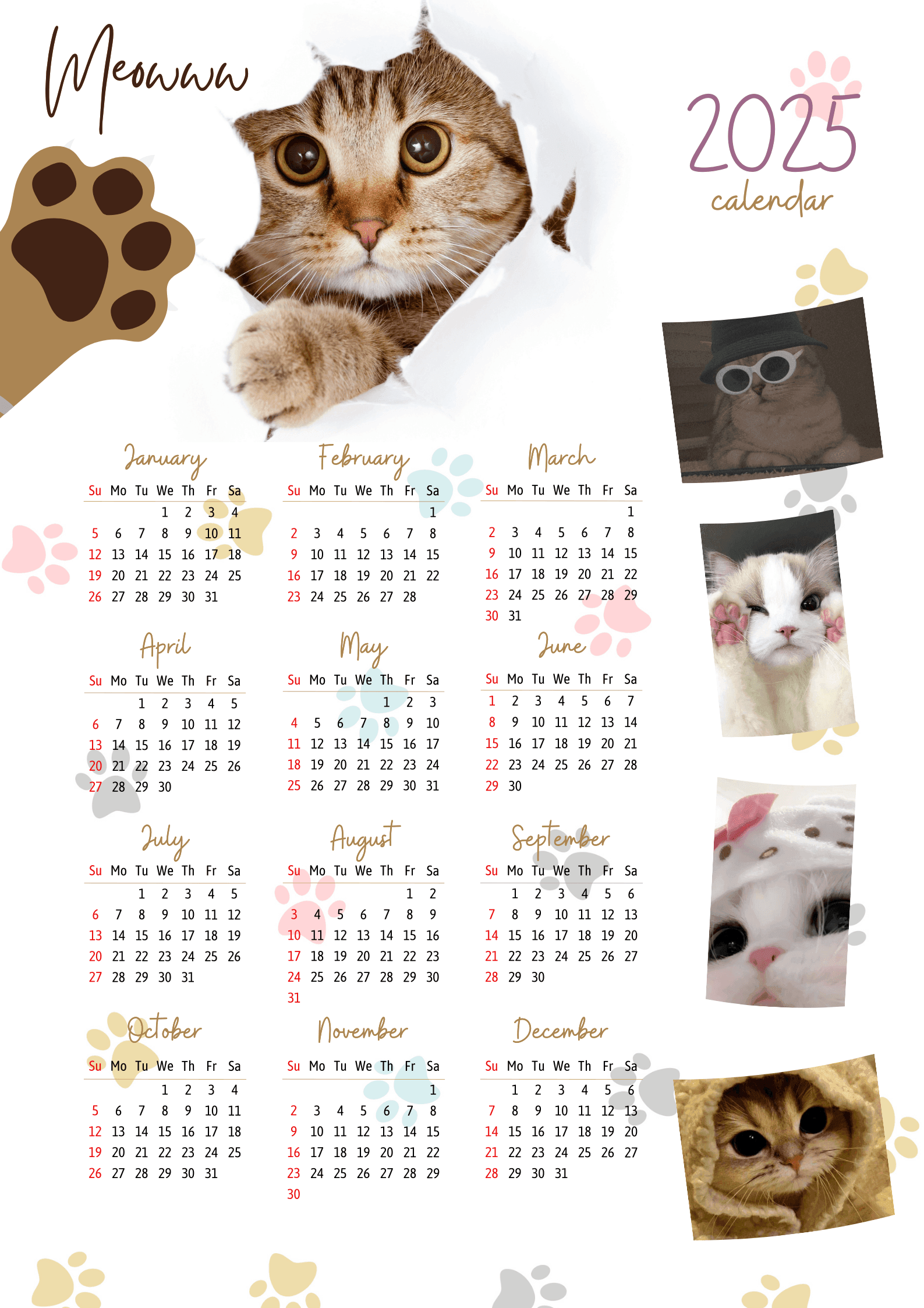 2025 Cat Calendar By Jershey santuyo Raket PH