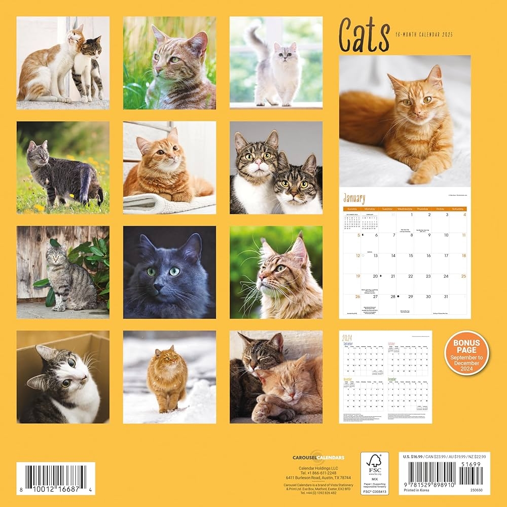 2025 Cats Wall Calendar 