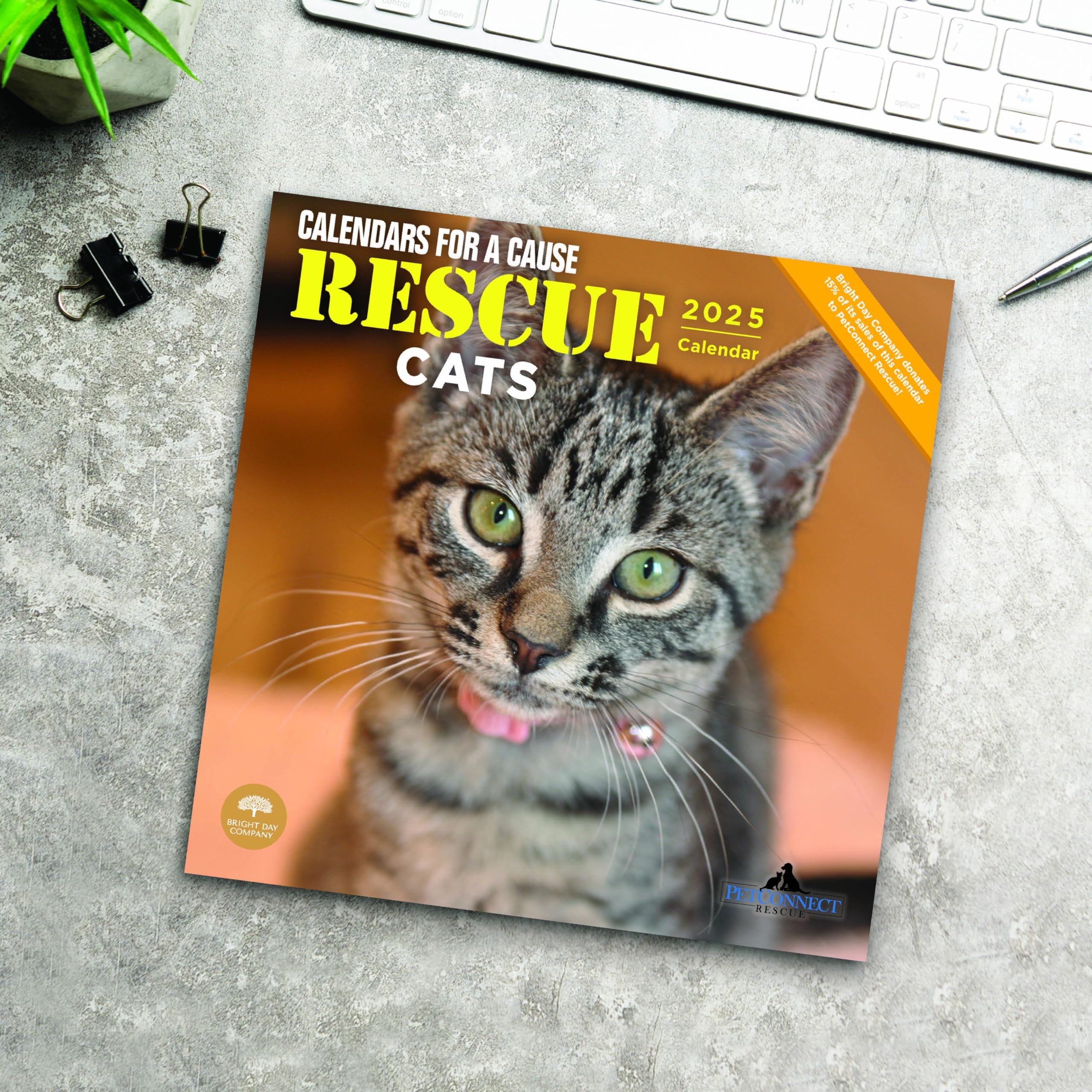 September 2025 Cat Calendar