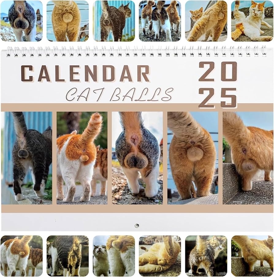 2025 Wall Calendar 12 Monthly Funny Calendar 2025 Jan 2025 Dec 2025 White Elephant Gifts Cat Calendar Funny Wall Art Gag Humor Gift 2025 Calendar 