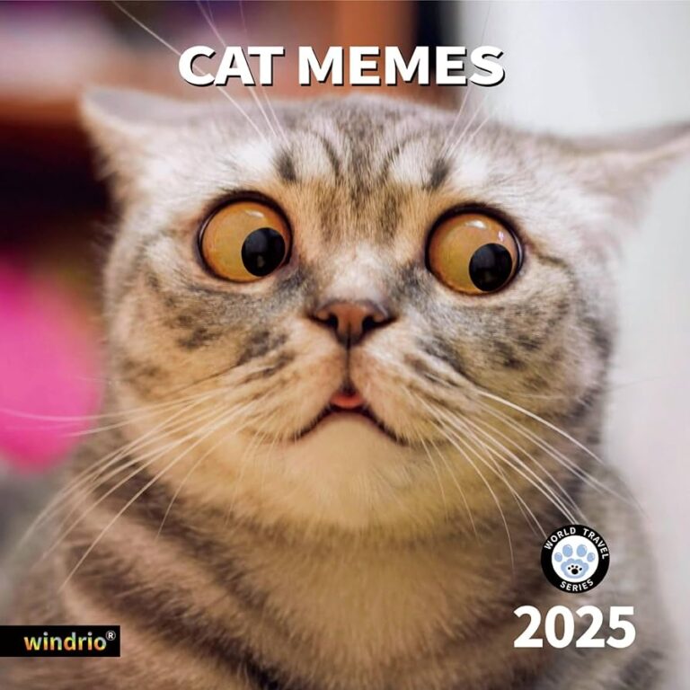 2025 Wall Calendar Funny Calendar 2025 January 2025 December 2025 Wall Calendar Funny Animal Memes 12