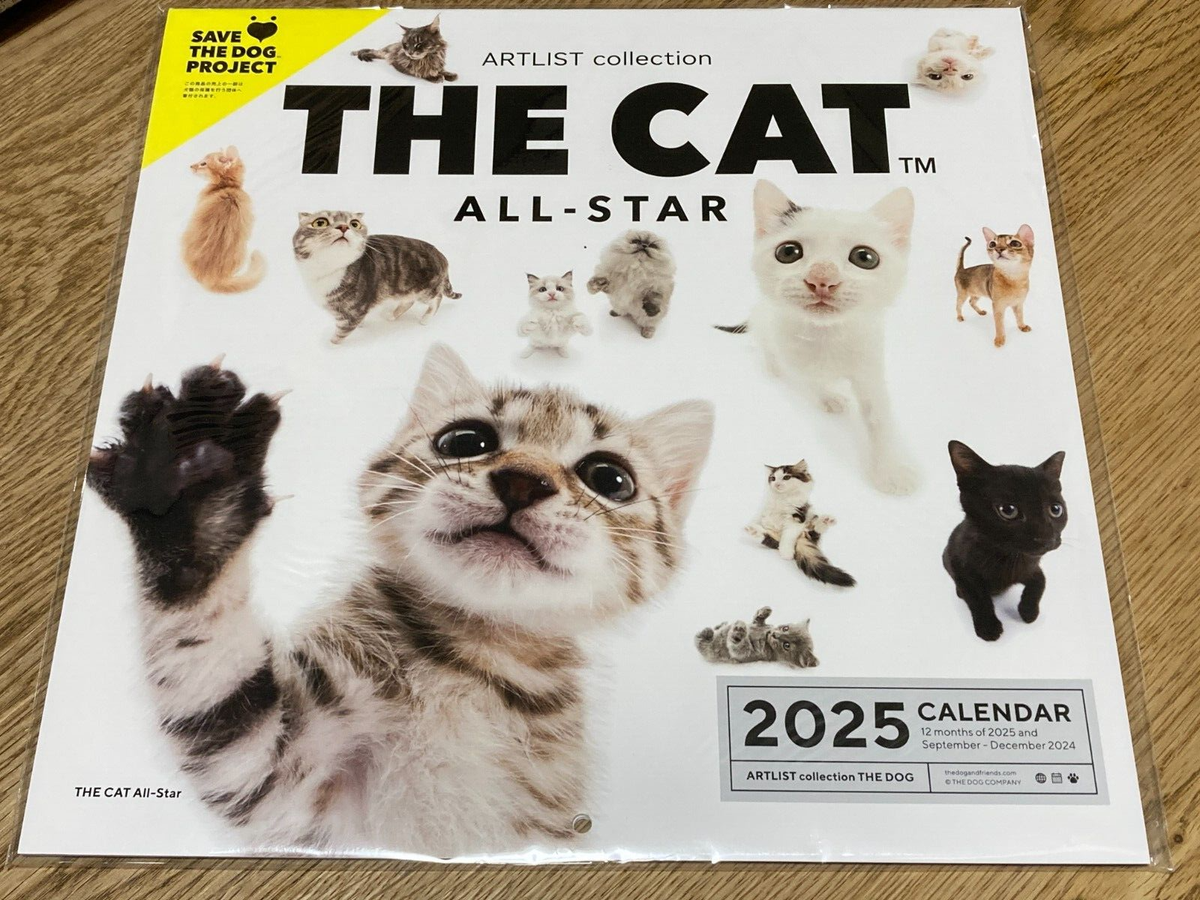 2025 Wall Calendar THE CAT ALL STAR ALLSTAR Cats ARTLIST 