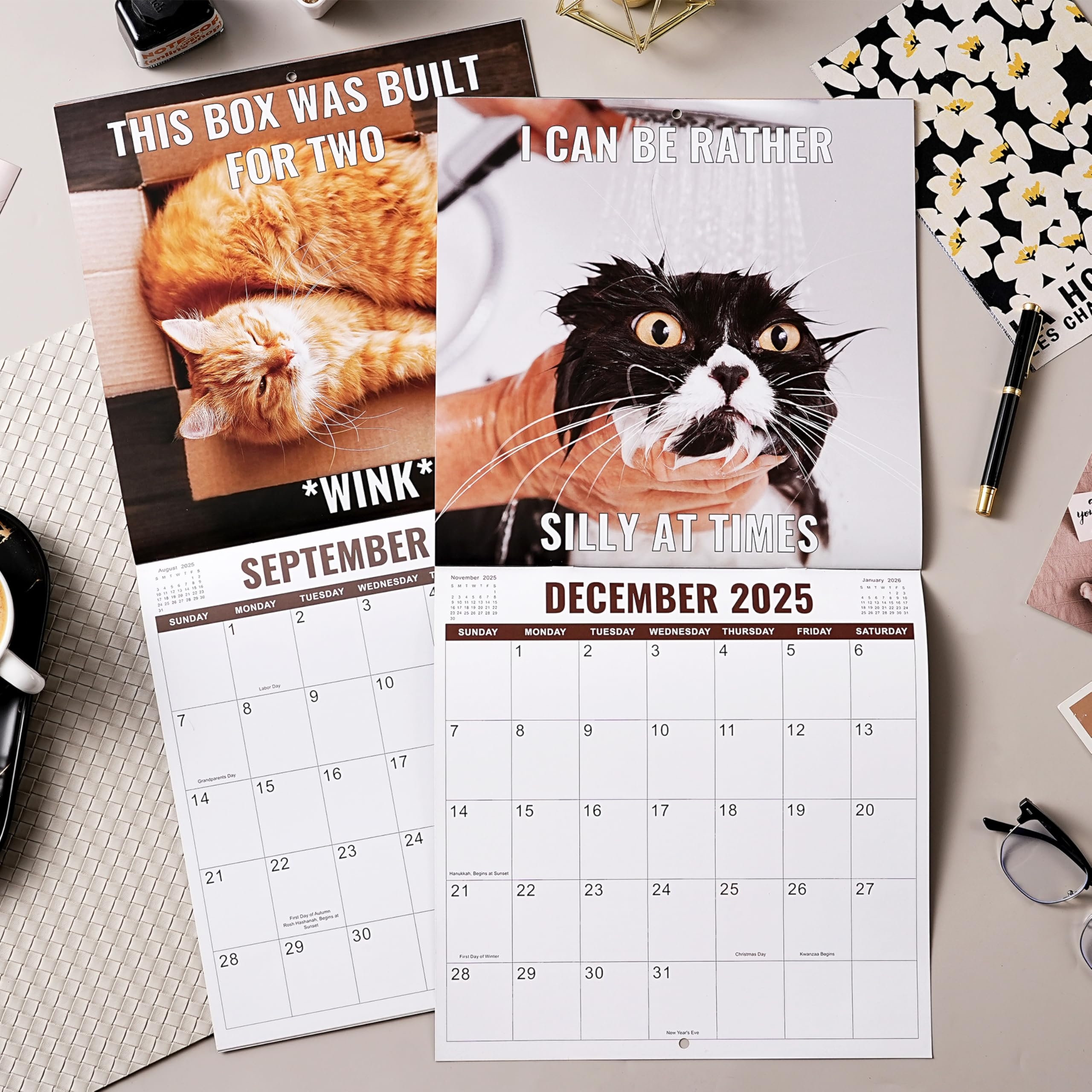 Amazon 2025 2026 Wall Calendar Funny Cats Calendar 2025 2026 12