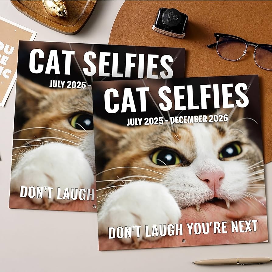Amazon 2025 2026 Wall Calendar Funny Cats Calendar 2025 
