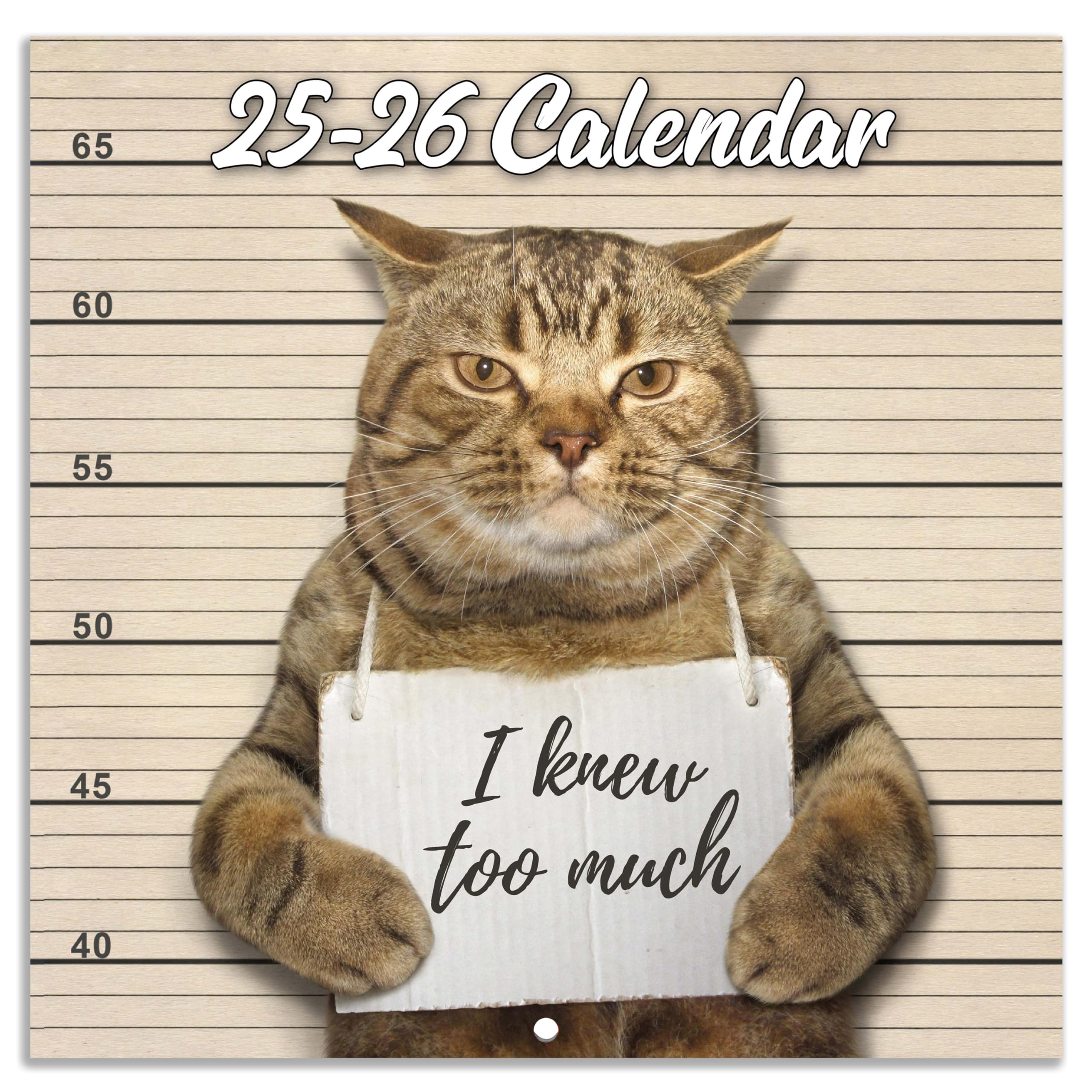 Amazon 2025 2026 Wall Calendar July 2025 December 2026 