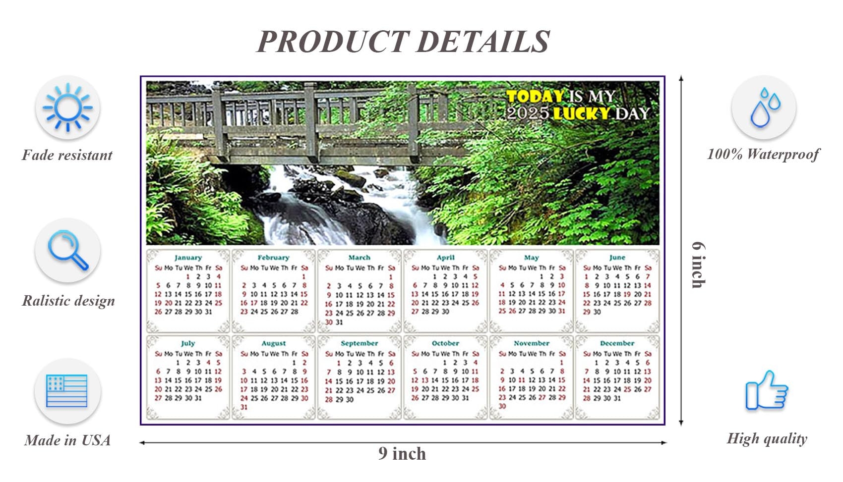 Amazon 2025 Peel U0026 Stick Calendar Today Is My Lucky Day 