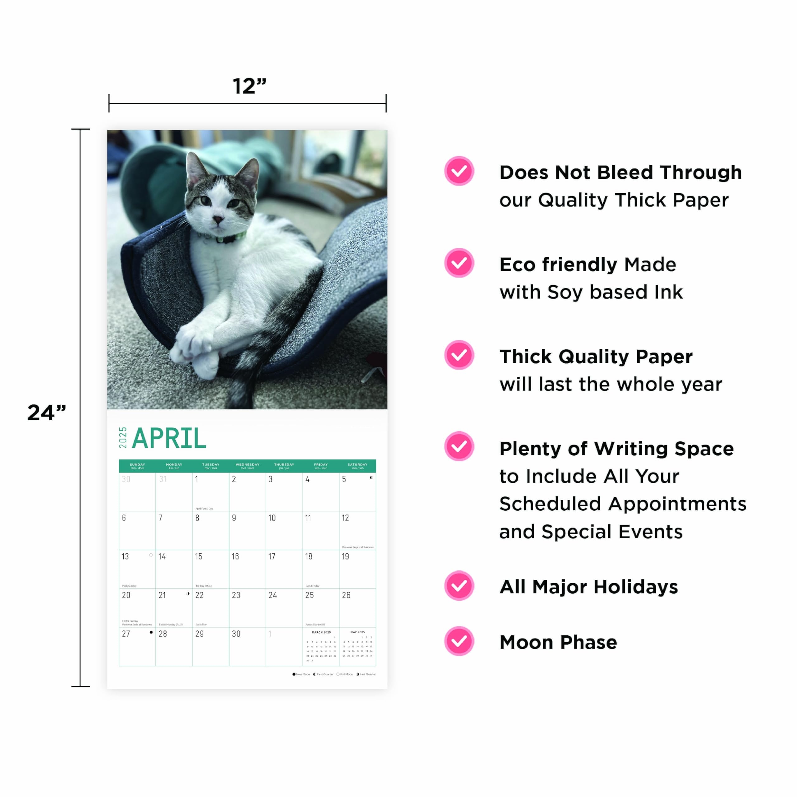 Amazon 2025 Rescue Cats Monthly Wall Calendar By Bright Day 