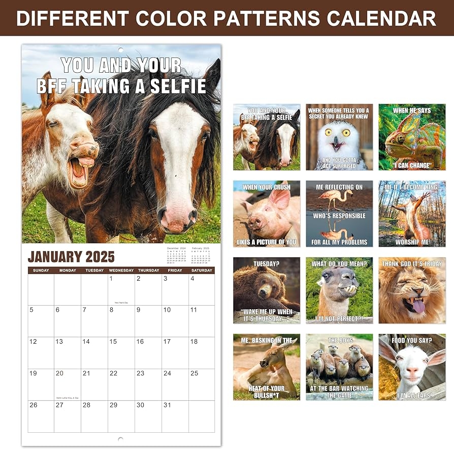 Amazon 2025 Wall Calendar Animal Memes Wall Calendar 2025 From Jan 2025 Dec 2025 Funny Calendar Gag Gifts 12