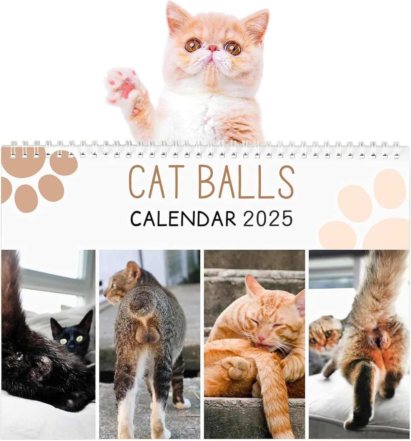 Amazon 2025 Wall Calendar Cat Balls Calendar 2025 12 Monthly Funny Cats Calendar 2025 11