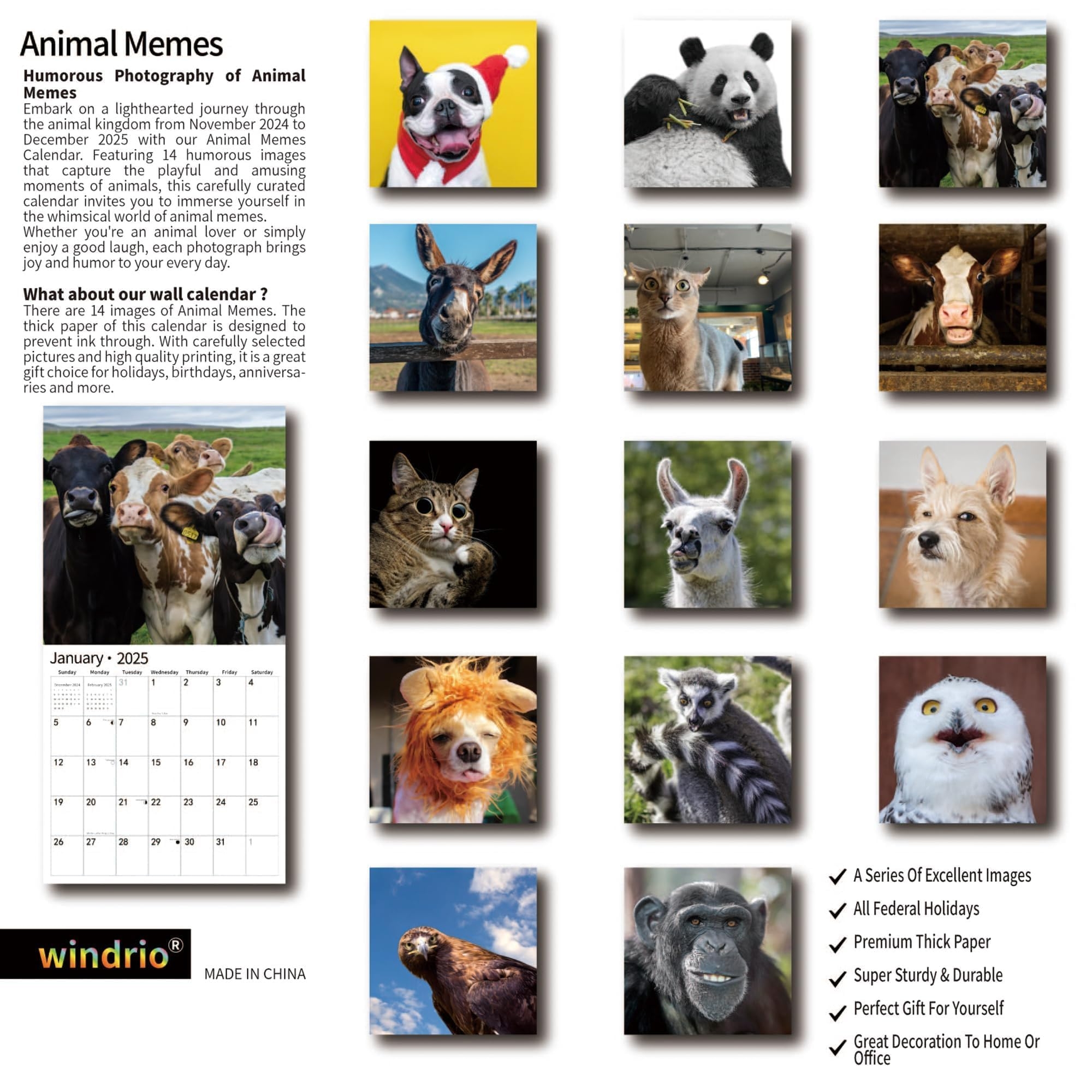 Amazon 2025 Wall Calendar Funny Calendar 2025 January 2025 December 2025 Wall Calendar Funny Animal Memes 12