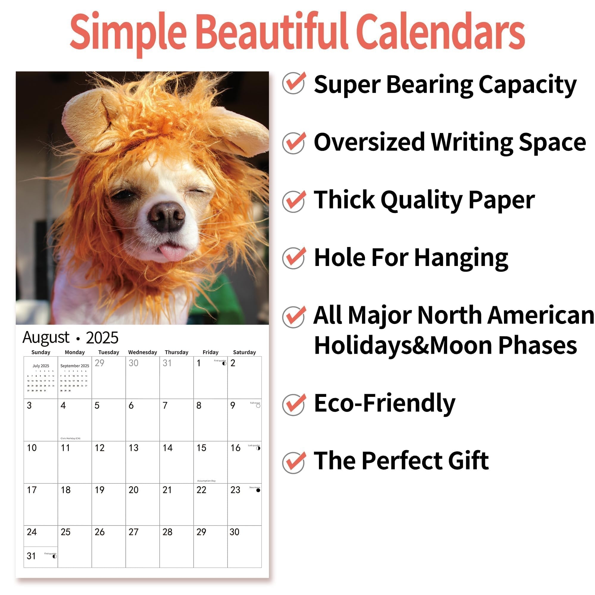 Amazon 2025 Wall Calendar Funny Calendar 2025 January 2025 December 2025 Wall Calendar Funny Animal Memes 12