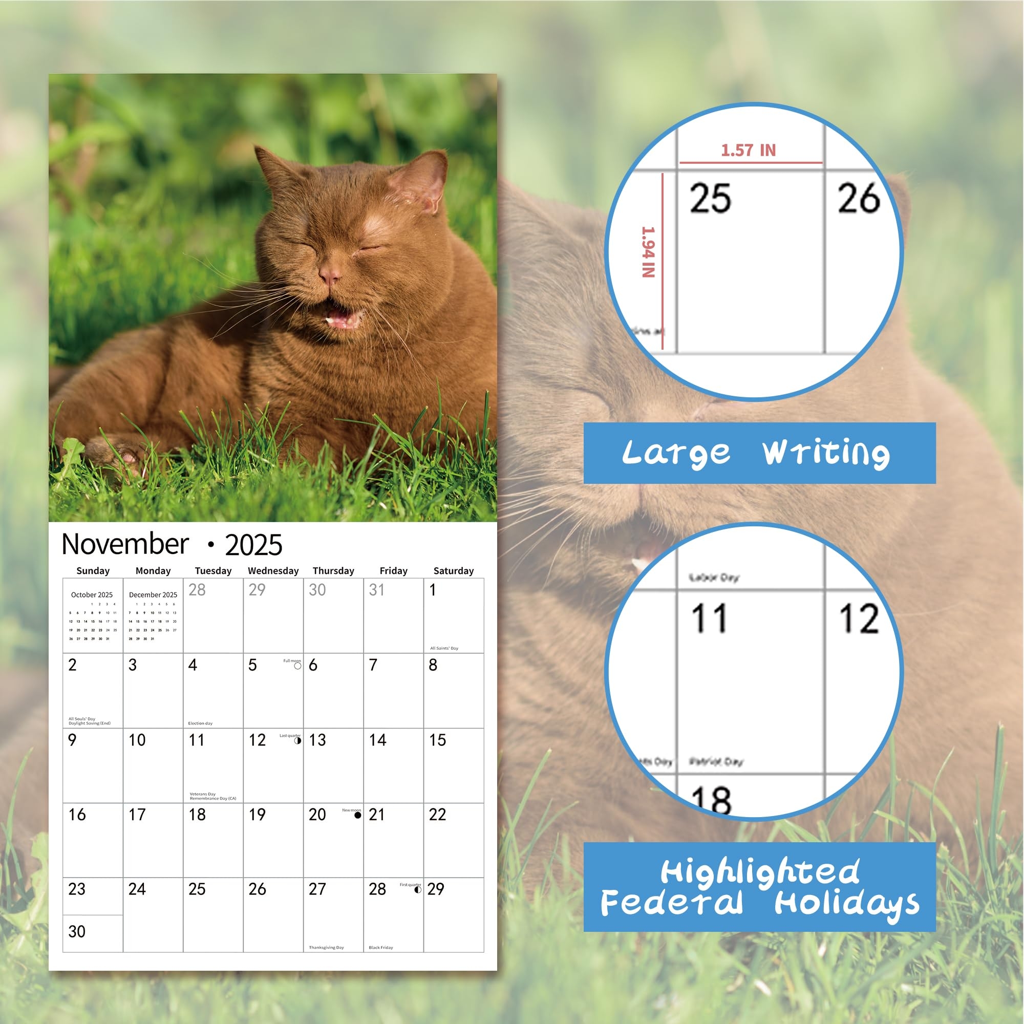 Fun November 2025 Calendar