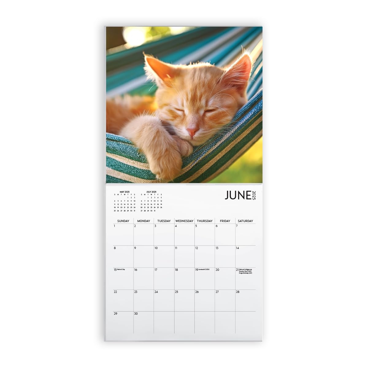 July 2025 Calendar Cat