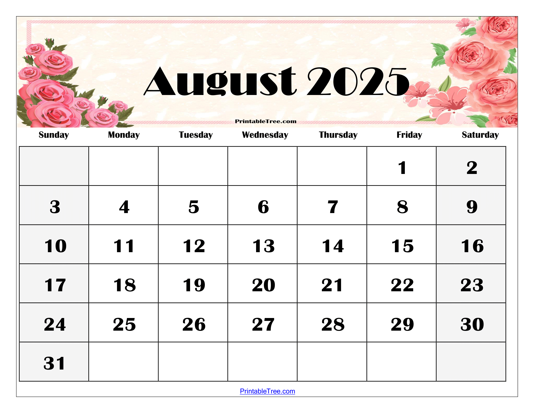 August 2025 Calendar Printable Pdf