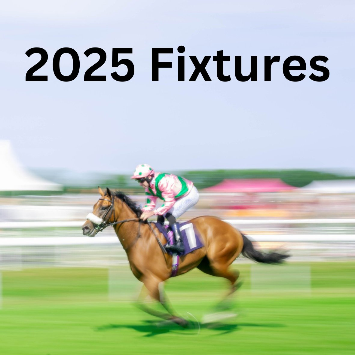 Beverley 2025 Fixtures Beverley Racecourse