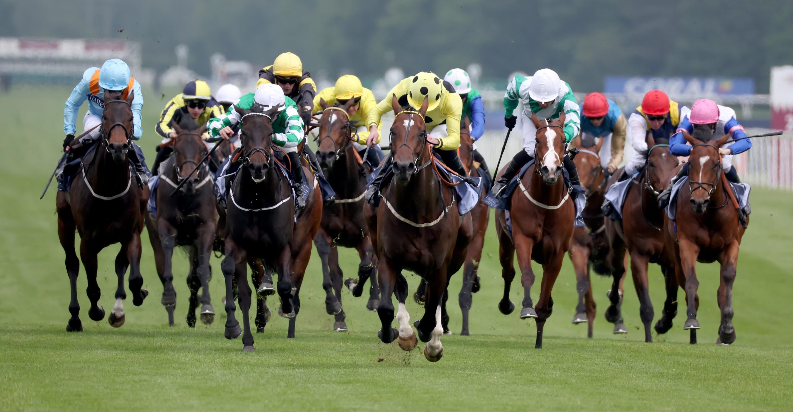 BHA Publishes 2025 Fixture List British Horseracing Authority