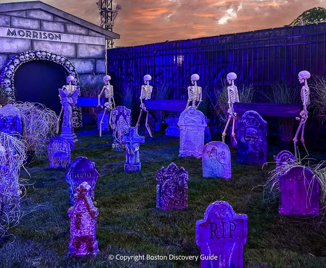 Boston Events October 2025 Top Things To Do Boston Discovery Guide