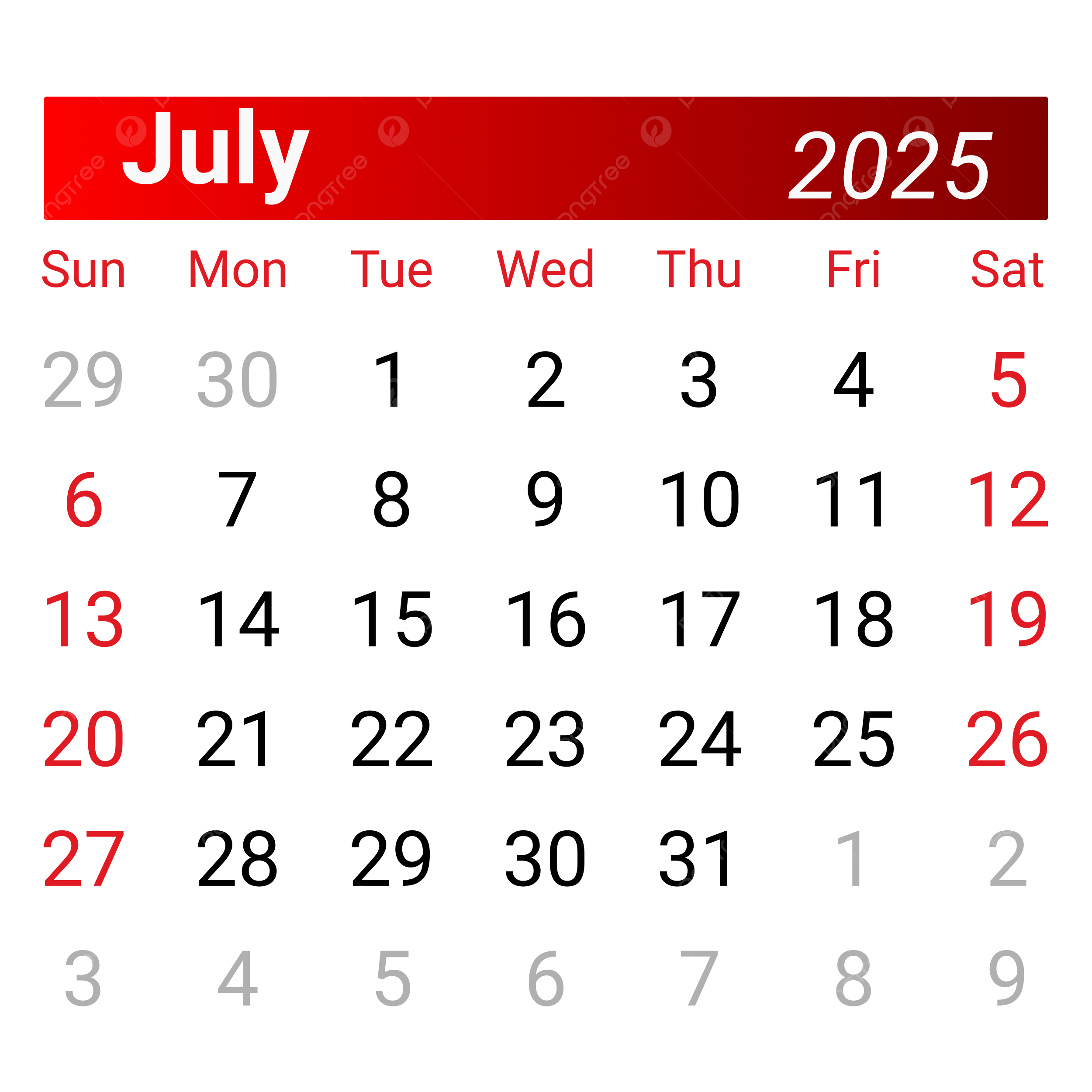 Catholic Calendar July 2025