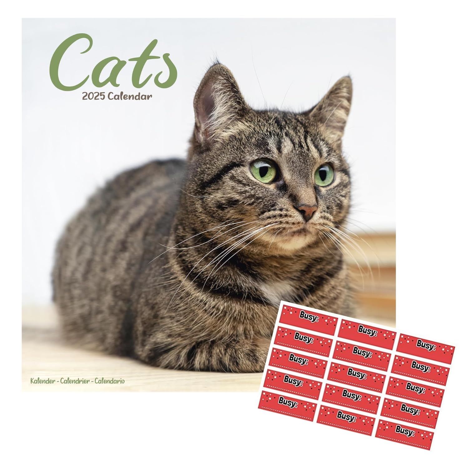 Cats Calendar 2025 16 Months With FREE Organisational Stickers Amazon co uk Stationery U0026 Office Supplies