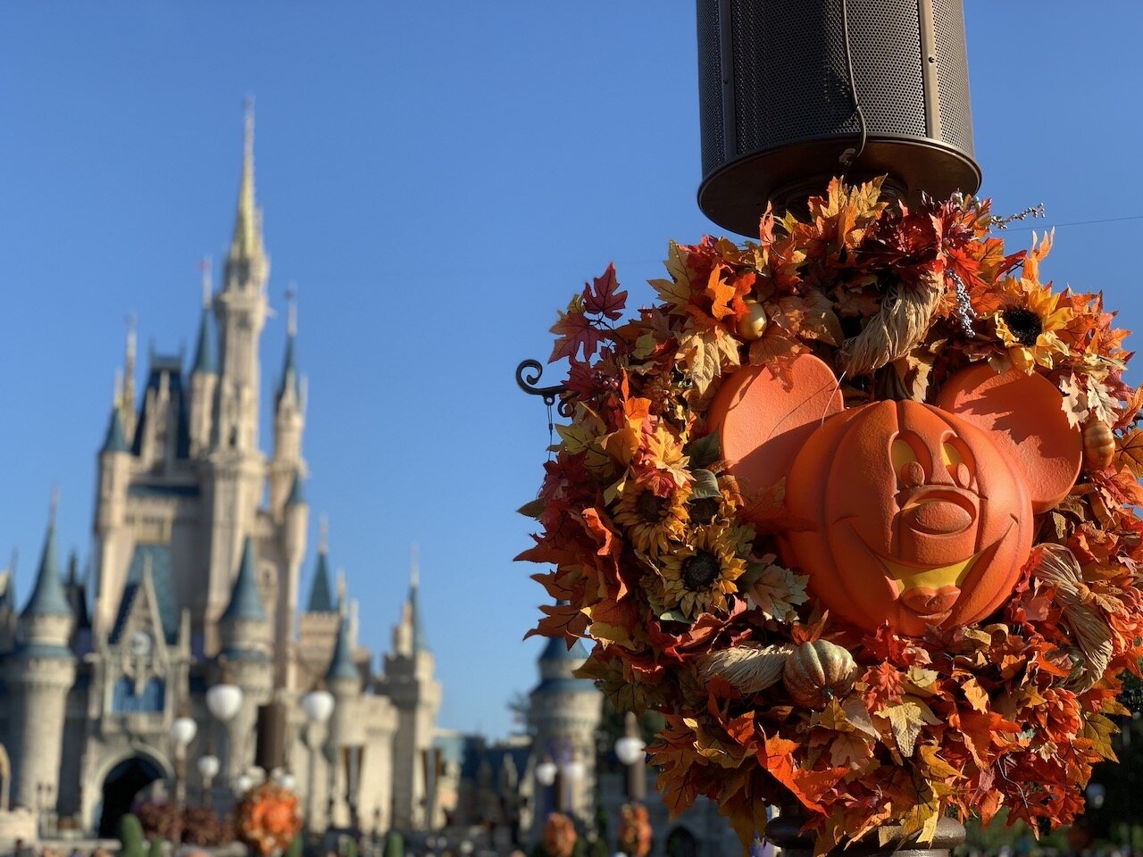Disney World Calendar October 2025