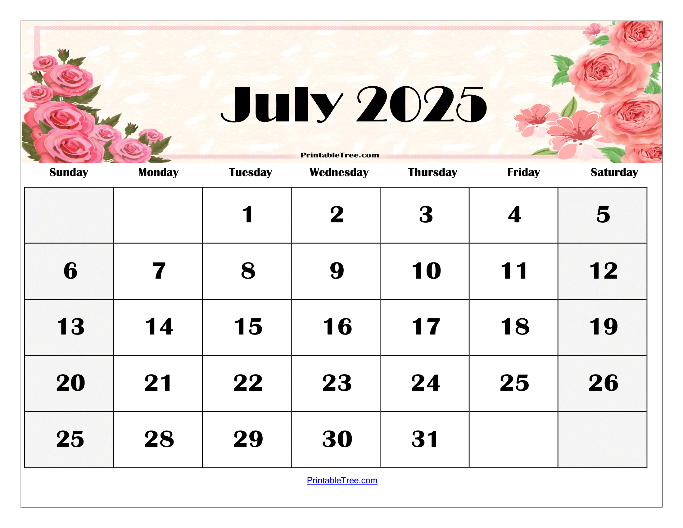 July 2025 Calendar Usa