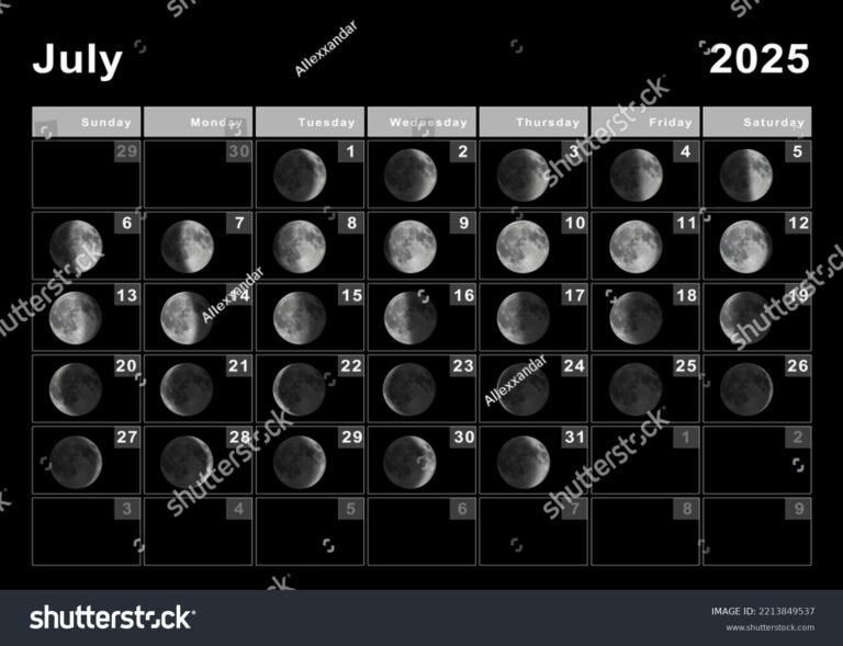 July 2025 Lunar Calendar Moon Cycles Stock Illustration 2213849537