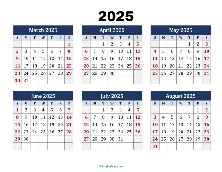 March To August 2025 Calendar Printable PDF Six Months Calendar