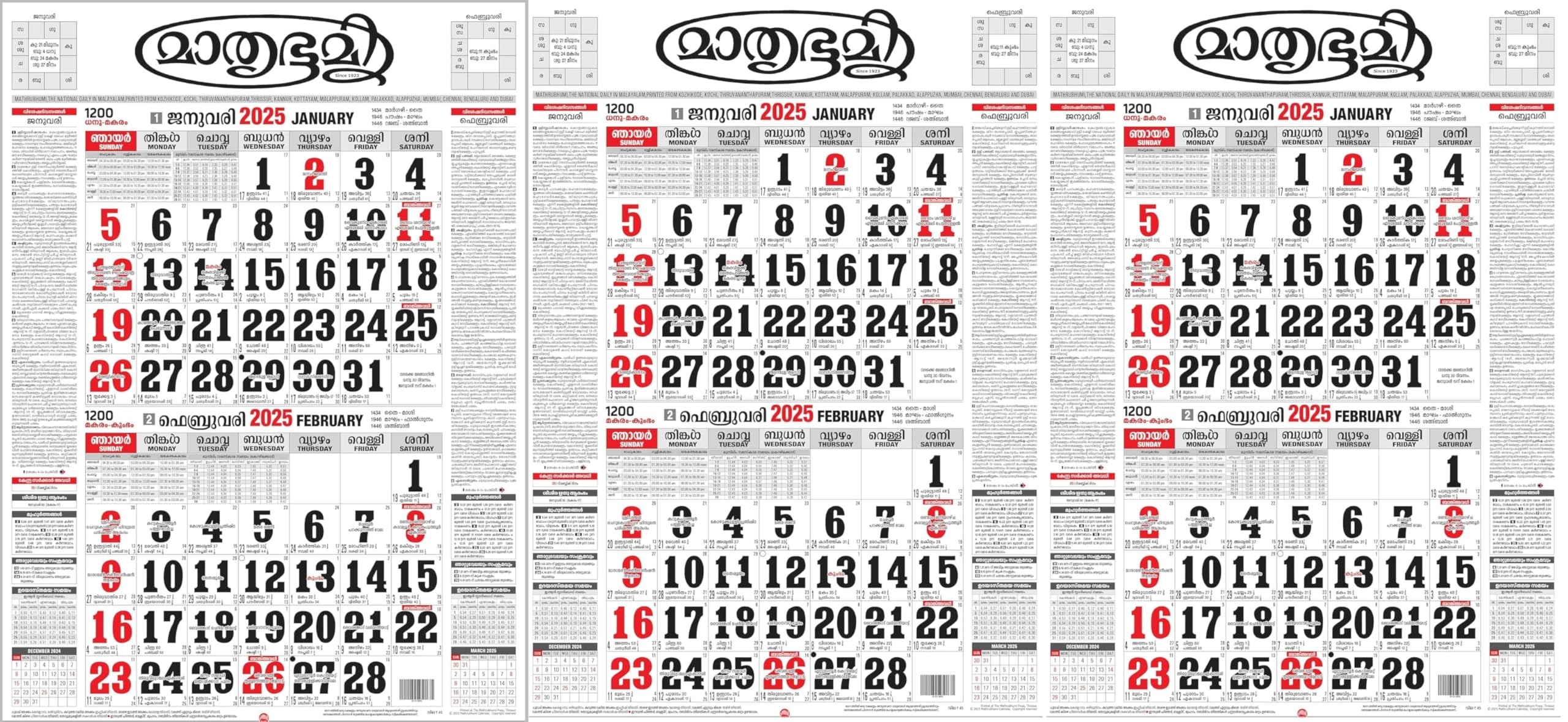 Nextone Mathrubhumi Calendar 2025 Wall Hanging Calendar 2025 Pack 