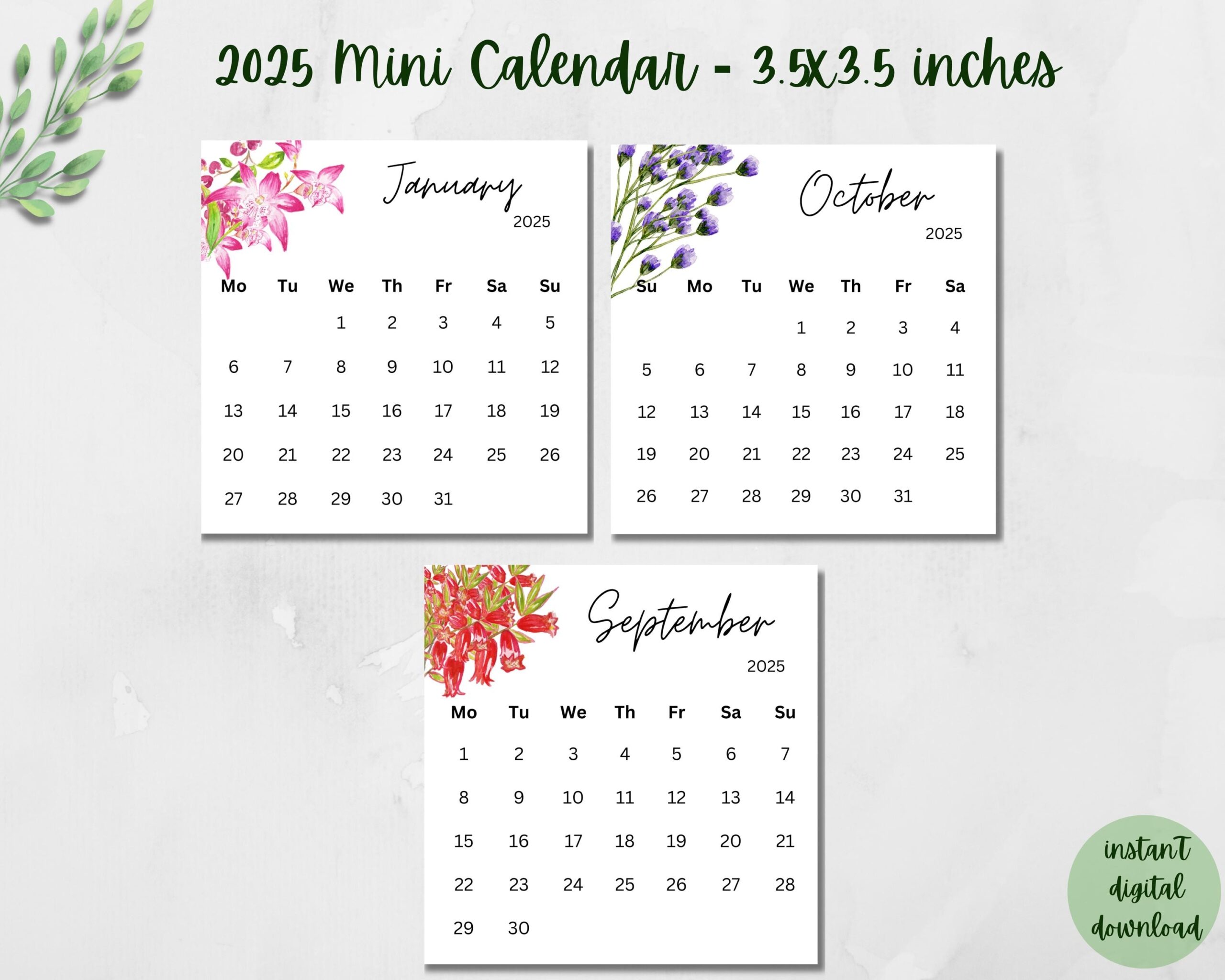 Printable 2025 Mini Calendar 3 5x3 5 Inches Floral Calendar Pocket Calendar Desk Calendar Printable Calendar Cards Digital Calendar Etsy
