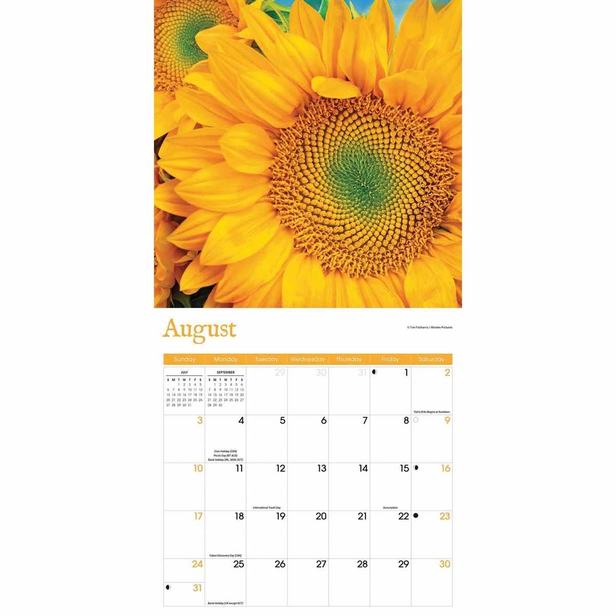 Sunflowers Calendar 2025