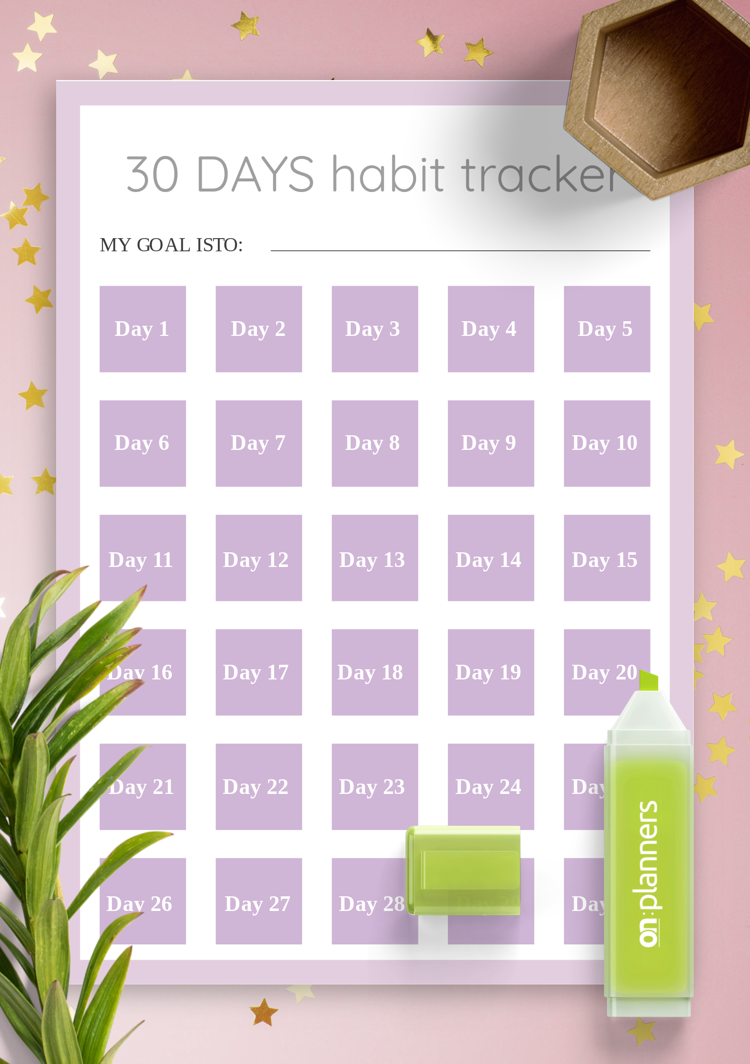 30 Day Habit Tracker Printable