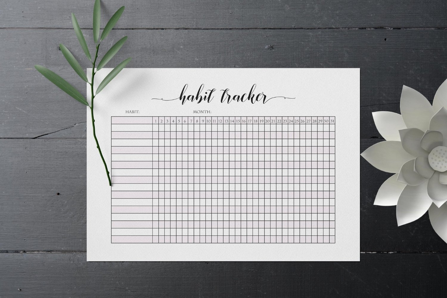 Printable Habit Tracker Bullet Journal