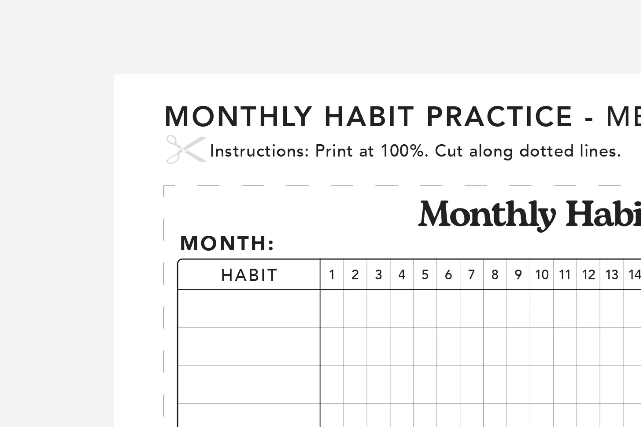 Monthly Habit Tracker Free Printable Passion Planner